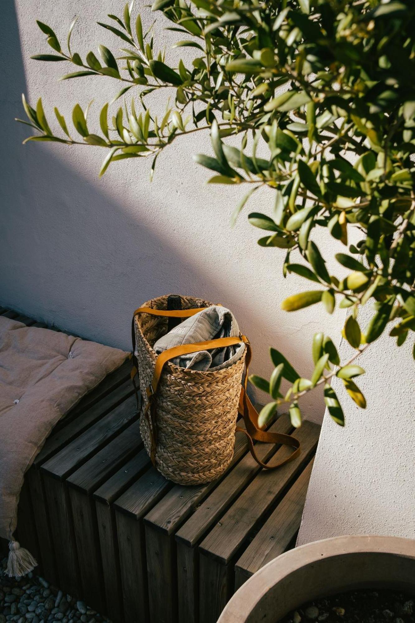 Marináda Viniční dům Acomodação com café da manhã Pavlov Exterior foto